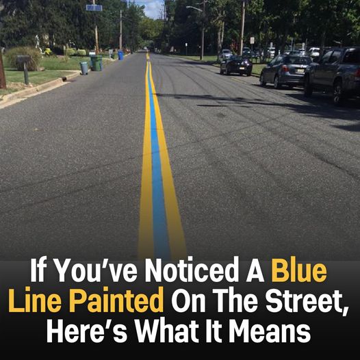 If you’ve spotted a blue line painted on the street, here’s what it signifies.