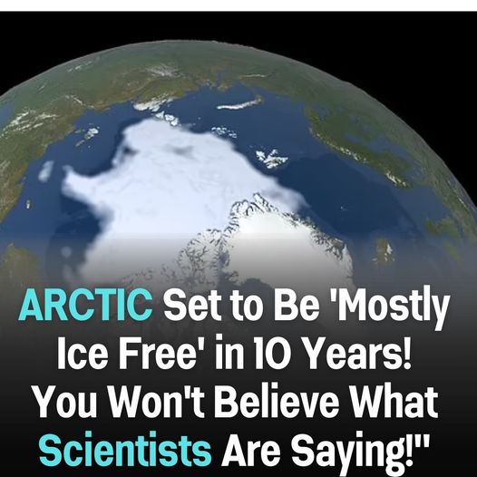 Scientists Issue Stark Warning: Arctic Ice Faces Significant Decline Within a Decade!!